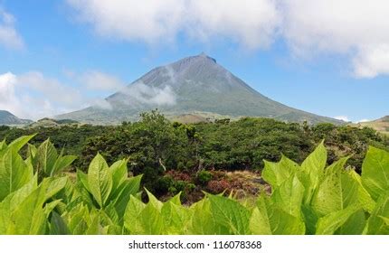 Volcano Mount Pico Pico Island Azores Stock Photo 116078368 | Shutterstock