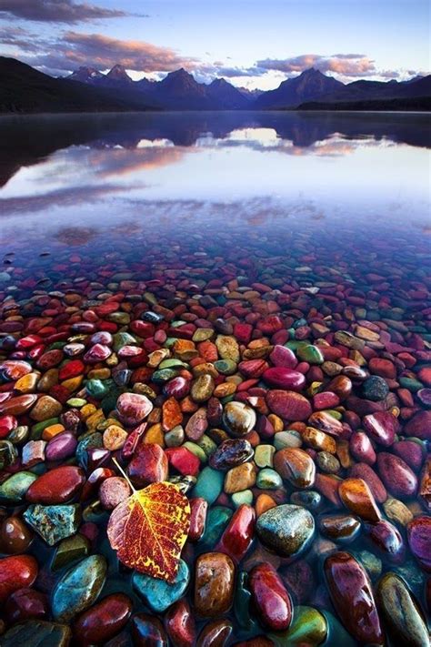 Pebble Shore Lake Montana Beautiful Places Pebble Shore Lake Places To Travel