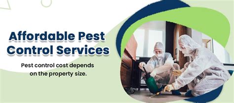 How Much Does A Pest Inspection Cost