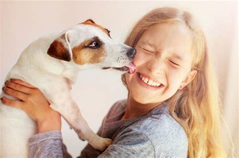 Rozszyfruj swojego pupila Dowiedz się jak interpretować zachowanie