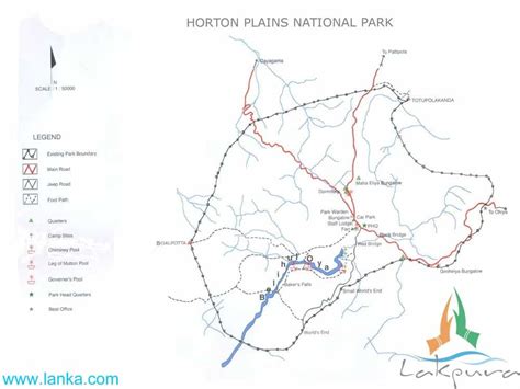 Horton Plains Trekking The Only Guide You Will Need