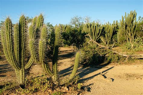 Gran Chaco Paraguay Trip To Unforgettable Paraguay Pictures Of