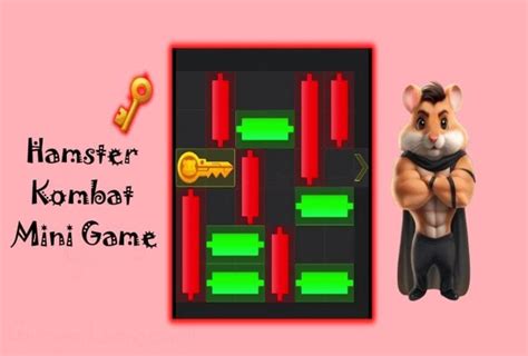 Hamster Kombat Mini Game Solution August 27 2024