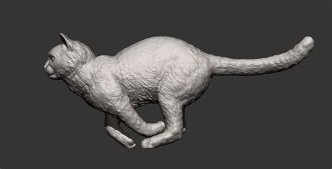 3D file running cat 3D print model 🏃・3D printable model to download・Cults