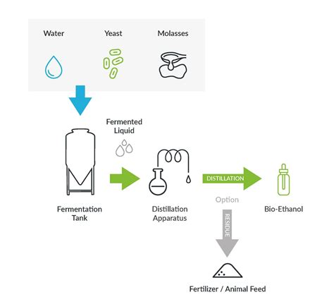 Biofuels And Renewable Resources Made From Yeast Explore Yeast