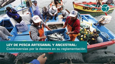 Ley De Pesca Artesanal Conflictos Por Demora En Reglamento