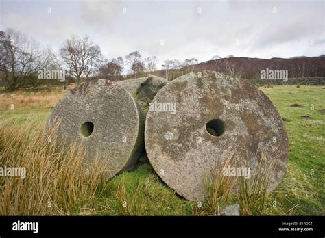 Silicified Limestone Hi Res Stock Photography And Images Alamy