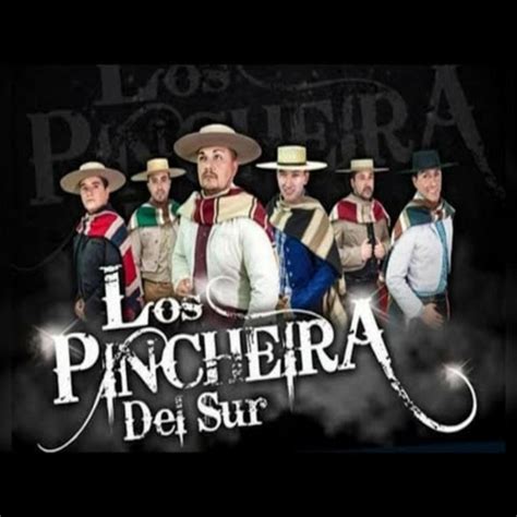 A Través del Vaso song and lyrics by Los Pincheira del Sur Spotify