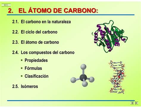 02 Atomo De Carbono LUIS FERNANDO PALMA USQUIANO UDocz