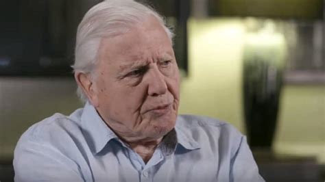 David Attenborough Is Still Alive: Death Hoax Debunked