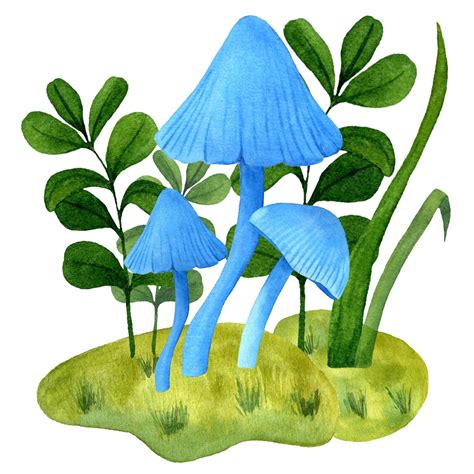 Premium Photo Three Blue Mushrooms Growing Side By Side In Moss With