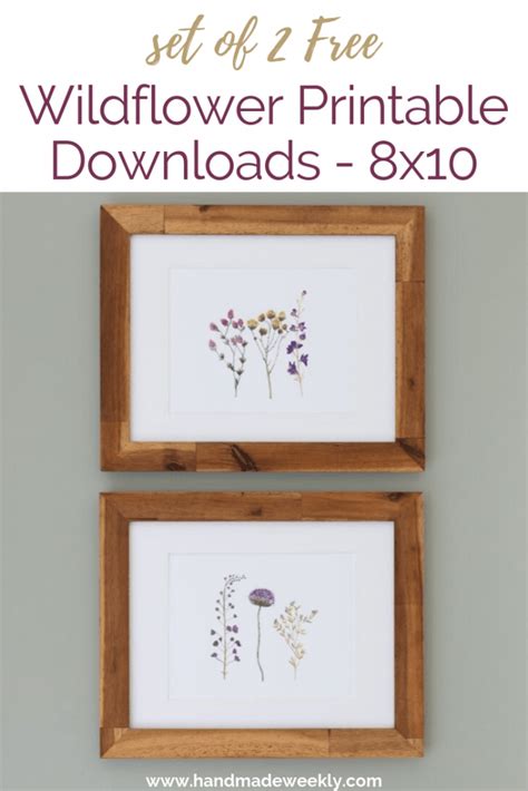 Set Of 2 Free Wildflower Botanical Printables Handmade Weekly