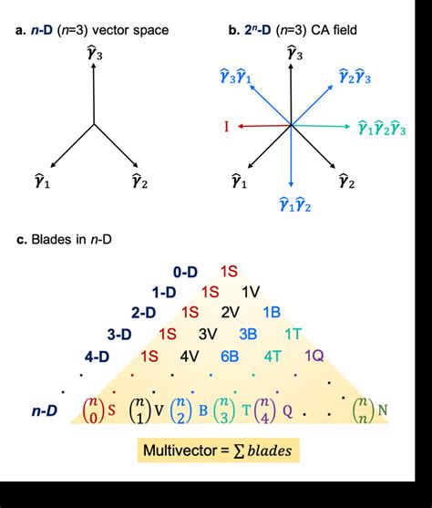 (a) Example of an n=3-dimensional vector space with orthonormal basis... | Download Scientific ...