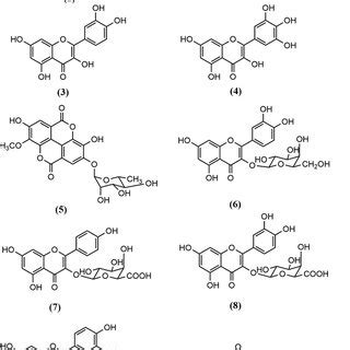 The Chemical Structures Of The Ten Compounds Isolated From Eucalyptus