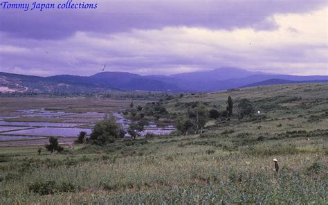 Along Hwy1 looking N Near Tuy An compound Tuy Hòa Ph Flickr