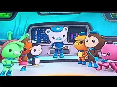 Octonauts Creature Report Moray Eel And Grouper YouTube