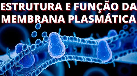 Estrutura E Função Da Membrana Plasmática Youtube