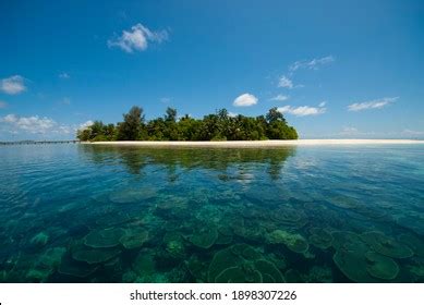 540 Underwater Maldives Hotel Images, Stock Photos, 3D objects, & Vectors | Shutterstock