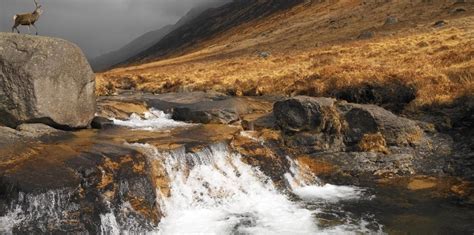 The Isle of Arran in late autumn | Isle of arran, Arran, Natural landmarks