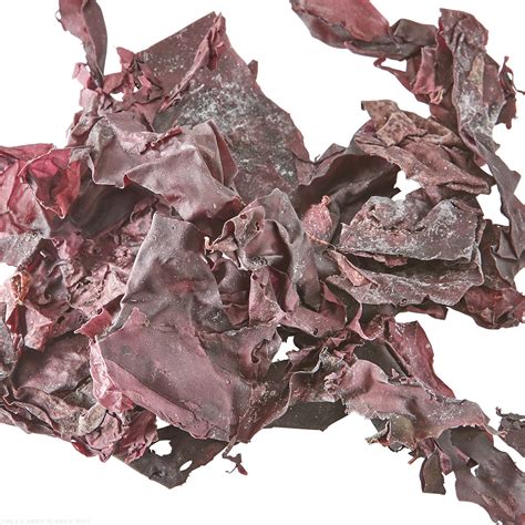 Dulse Seaweed - Bulk Reef Supply - Bulk Reef Supply