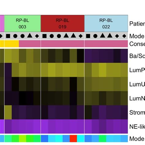 Hallmark Pathway Analysis Rnaseq A Gene Set Enrichment Analysis For Download Scientific