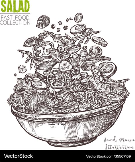 Hand Drawn Sketch Fresh Salad With Vegetable Vector Image