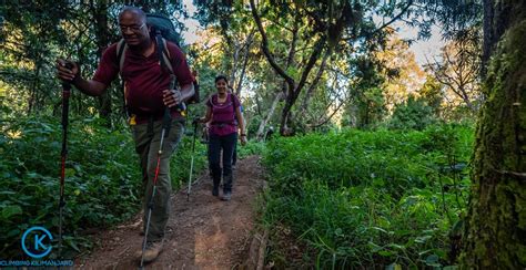 The Beginner's Guide to Climbing Kilimanjaro - Climbing Kilimanjaro