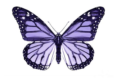 Purple Butterfly Painting by Paul Quarry - Pixels