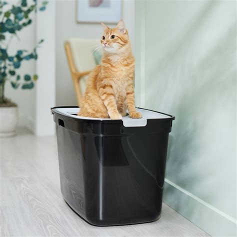 8 Best Top Entry Litter Boxes 2025 According To Reviews Chewy