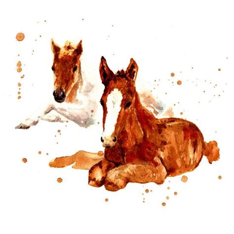 Horse Art Horse Paintings Foal Painting Watercolor Horses