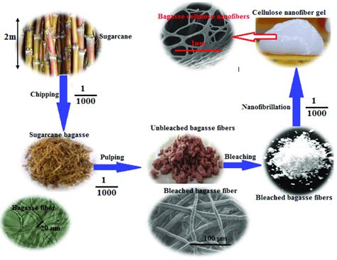 Top Down Approach For Preparation Of Cellulose Nanofibers CNFs From