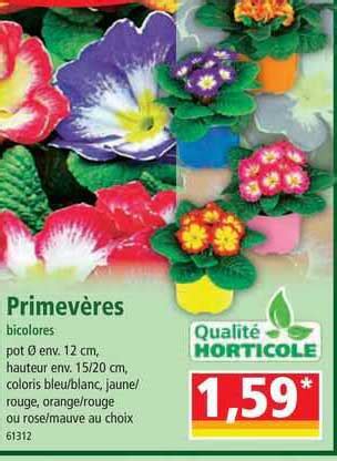 Promo Primev Res Bicolores Chez Norma Icatalogue Fr