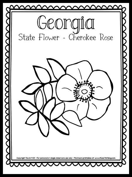 Georgia State Flower Coloring Page Cherokee Rose Free Printable