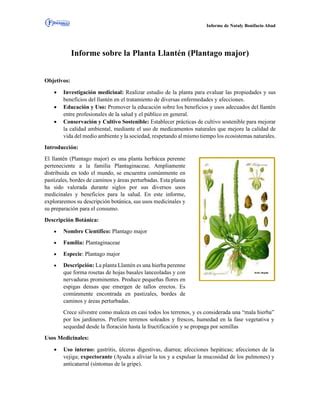 Informe Sobre Lfbfdbdfabfda Planta Llant N Pdf Descarga Gratuita