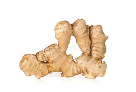 Ginger Zingiber Officinale Roscoe Rhizome 2022 Stock Image Image Of