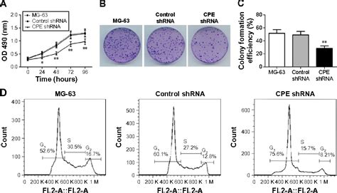 Figure From Silencing Of Carboxypeptidase E Inhibits Cell