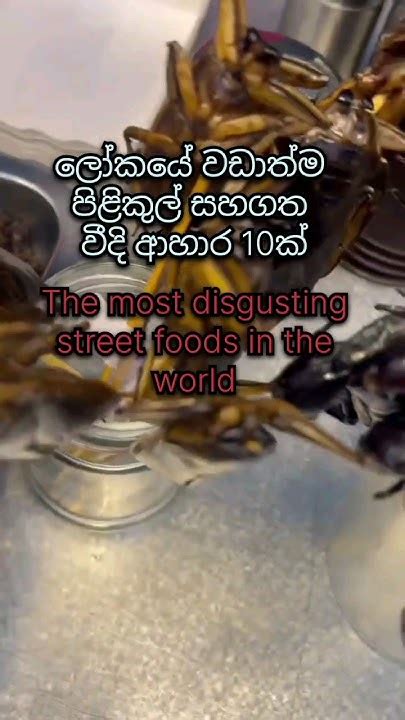 පිළිකුල් සහගත වීදි ආහාර 10ක් Top 10 Most Disgusting Street Foods In The World Youtube