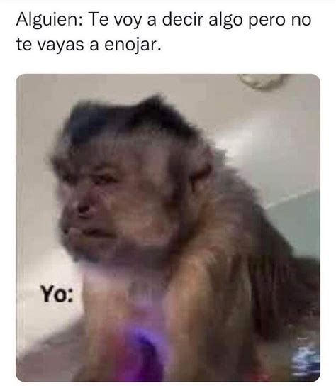 Pin De July Taboada En Memes Imagenes Para Memes Changos Mo Os