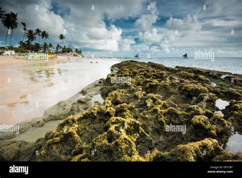 Beach At Port De Galinhas Pernambuco Brazil Stock Photo Alamy