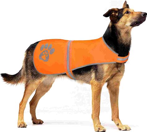 10 Best Dog Hunting Vests With Review Guide Dogtravelbuff