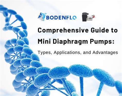 Comprehensive Guide To Mini Diaphragm Pumps Types Applications And