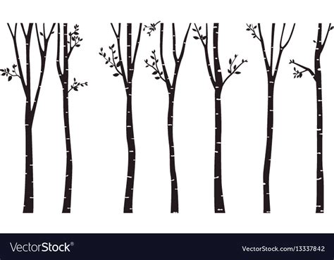 Birch tree silhouette background Royalty Free Vector Image