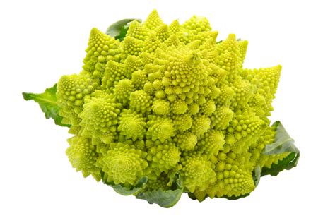 Br Coli Romanesco Repollo Aislado Brote Png Dibujos Verde Blanco