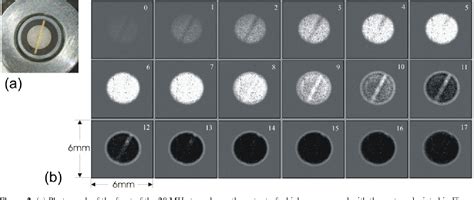 Figure From Three Dimensional Photoacoustic Imaging Of Vascular