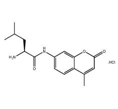 Glycosynth L Leucine 7 Amido 4 Methylcoumarin Hydrochloride