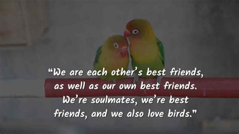 2025 Love Birds Quotes To Say "we Are Love Birds"