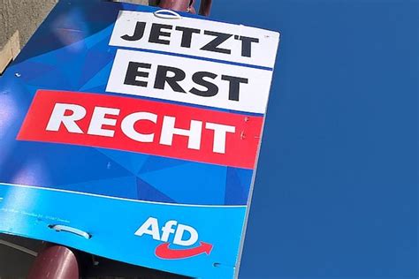 Zaskakuj Cy Sonda Radykalny Wzrost Poparcia Dla Afd Tam S Ju Na