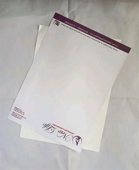 Glue Bound Gsm White Paper Letterhead At Rs Piece In Ahmedabad