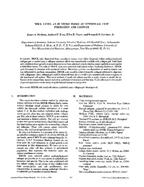 Pdf In Vitro Model For Mdck Epithelial Cyst Growth And Formation