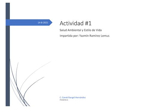 Act Ccrh Cuadro Sinoptico Salud Ambiental Y Estilo De Vida